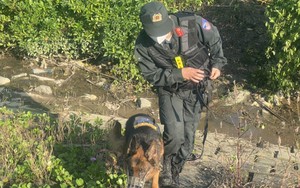 Công an Hà Tĩnh huy động lực lượng truy bắt 2 đối tượng truy nã nguy hiểm