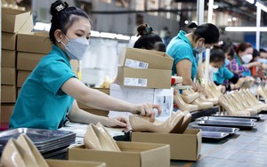 Hỗ trợ người lao động bị giảm giờ làm, chấm dứt hợp đồng