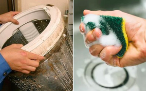 5 thứ trong nhà tưởng sạch nhưng chứa đầy vi khuẩn: cách vệ sinh đơn giản mà chẳng ai nghĩ đến