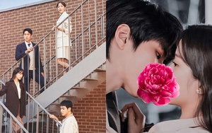 'Trầm cảm' vì 'Lý giải tình yêu', khán giả Việt đua nhau xem phim Hàn này để chữa lành tâm hồn