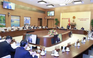 Lần đầu có văn bản quy phạm pháp luật về vi phạm hành chính trong kiểm toán nhà nước