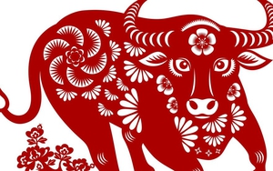 Nửa đầu năm 2023, 3 con giáp thoát cảnh 'ngậm đắng nuốt cay', tiến bộ thần tốc để xoay chuyển tình thế, may mắn không để đâu cho hết