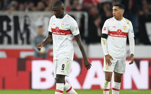 Nhận định, soi kèo Stuttgart vs Cologne (21h30, 18/2), Bundesliga vòng 21 