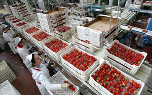 Quốc hội Tây Ban Nha ủng hộ dự luật cho phép lao động nữ nghỉ làm vào kỳ 'nguyệt san'