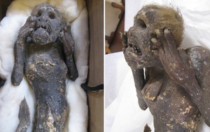 Bí mật về xác ướp “nàng tiên cá” được tôn thờ 300 năm ở Nhật Bản cuối cùng cũng được giải mã: Sự thật vô cùng gây sốc