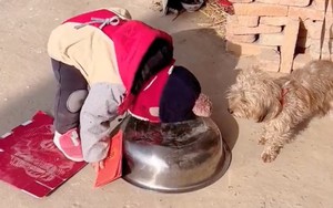 Nhận được tiền lì xì từ người lớn, cậu bé có quyết định "sốc" với chú cún con khiến ai cũng cười đau bụng