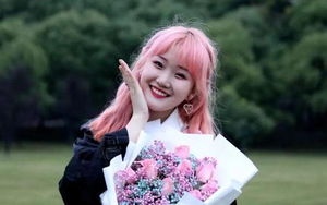 Cô gái 23 tuổi bị bạo lực mạng 6 tháng trời đến mức tự vẫn, lý do chỉ vì “tội” nhuộm tóc màu hồng 