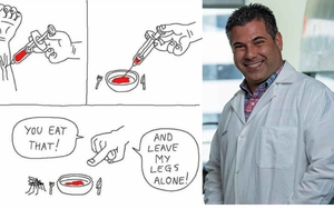 Nhà khoa học này chế tạo "máu ăn liền" cho muỗi, để chúng đỡ phải đi đốt người