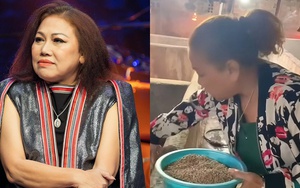 Siu Black khi bỏ showbiz về quê: Đối diện với nhiều bệnh tật, nuôi heo, làm rẫy, sống tằn tiện