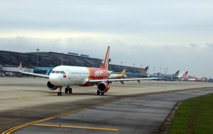 Khỉ xuất hiện tại sân bay Nội Bài, Cục Hàng không chỉ đạo khẩn