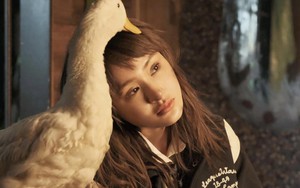 Thành tích sau 24h ra mắt của MV Hiền Hồ: Có top 1 đầu tiên, còn YouTube thì sao?