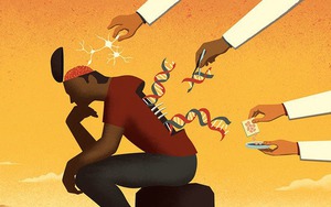 Cuộc đời khốn khổ nhất là so bì: Tâm lý so sánh từ công việc, lương lậu, gia đình... đang hủy hoại hàng triệu người như thế nào? 