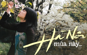 Hà Nội mùa này, mùa hoa ngập lối, không ra đường là có lỗi với bản thân!