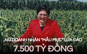 Nữ doanh nhân tưởng mẫu mực hóa siêu lừa: Bỏ túi 7.500 tỷ đồng nhờ đánh trúng 2 đối tượng, hơn 6.000 nạn nhân 'dính bẫy' suốt chục năm 