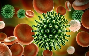 Nhật Bản phát hiện cơ chế giúp Omicron dễ lây lan hơn so với chủng virus gốc