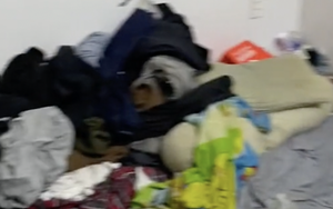 Cho nam sinh đẹp như diễn viên, người luôn "thơm phức" thuê phòng, chủ trọ bất ngờ kiểm tra và phát hiện cảnh tượng kinh hoàng bên trong