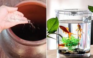 5 thứ trong nhà phải đổ thật đầy, để trống không sẽ làm Thần Tài phật ý, dễ thất thoát tiền bạc