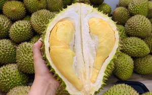 Loại quả Việt kén người ăn, ai sợ còn thấy 'thối' nhưng giá tăng gấp 3 lần vẫn có nhiều người 'nghiện', xuất khẩu 'đắt như tôm tươi'