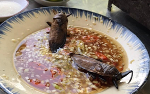 Món nước chấm từ loại đặc sản 'kỳ dị' ở Việt Nam, giá cả nửa triệu đồng/chai nhưng không phải ai cũng biết