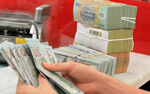 Tỷ giá trung tâm hôm nay tăng 3 đồng