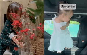 Con gái Hà Hồ: Mới 2 tuổi đã thích cắm hoa, sơ hở là làm 1 việc khiến mẹ bất lực thốt lên câu này? 