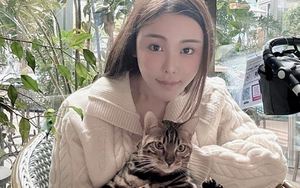 Thái Thiên Phượng còn tâm nguyện chưa hoàn thành đã bị nhà chồng cũ sát hại