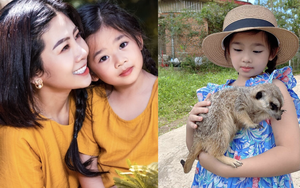 Con gái cố diễn viên Mai Phương sau 3 năm mẹ mất: Giờ học trường quốc tế hơn trăm triệu/năm, xinh như búp bê và cực hiểu chuyện