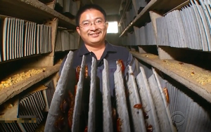 Ngành nghề phải hoạt động 'bí mật' nhưng có lợi nhuận 'trên trời' ở Trung Quốc: Vốn ít lời nhiều khiến người dân và tiểu thương đổ xô mở trang trại 