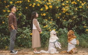 Cầm 180 triệu về Đà Lạt mở quán cafe: Nhà cửa có sẵn, thu nhập tăng một nửa nhưng không được phép quên 3 điều!