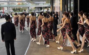 Toàn cảnh vụ 170 cô gái Đài Loan hầu rượu 6 nghệ sĩ và hơn 900 đại gia 'máu mặt'