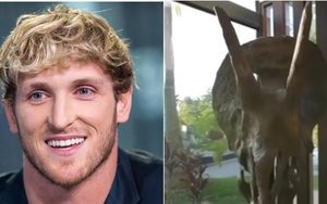 YouTuber nổi tiếng chơi trội, bỏ 12 tỷ mua hộp sọ khủng long 66 triệu năm tuổi về trưng bày