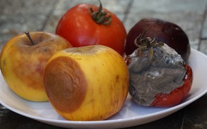 3 loại thực phẩm có thể làm tăng nguy cơ mắc ung thư gan nếu ăn thường xuyên