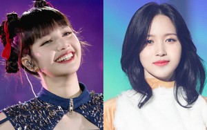 Mina Twice hé lộ tình bạn với Lisa Blackpink, thường xuyên rủ nhau đi chơi