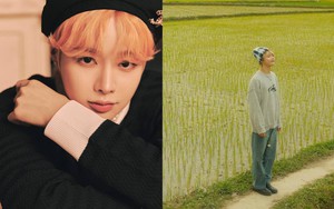 Sao Hàn gốc Việt bị fan đào lại loạt ảnh check-in ở quê nhà, dân tình rần rần săn lùng địa điểm để “cheap moment” cùng Idol