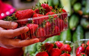 Xôn xao clip rửa dâu tây giá rẻ bằng máy sục, nước nổi váng đục ngầu: Chuyên gia nói gì?