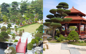 Biệt thự hàng chục tỷ chưa đủ, đây mới là thứ thể hiện đẳng cấp của giới siêu giàu, rộng mênh mông và ngốn rất nhiều tiền