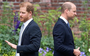 Vì sao anh chị em ruột thừa hưởng ADN như nhau nhưng tính cách khác nhau?: Bác sỹ khẳng định 'không có hai đứa trẻ nào cùng một cha mẹ'