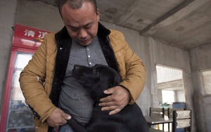 Bị kẻ trộm câu mất chú chó cưng, người đàn ông tìm đến lò mổ và làm điều “không tưởng”