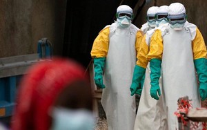 Đã có 9 người chết liên quan đến virus Marburg: Các chuyên gia nói gì về dịch bệnh với tỷ lệ tử vong lên tới 88%?