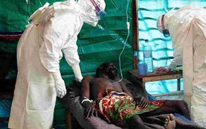 Nguy cơ bùng phát dịch virus Marburg trên thế giới: Căn bệnh với tỷ lệ tử vong 88%, còn nhiều tiềm tàng chưa biết đến 