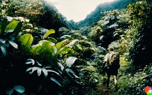 Lộ diện công cụ AI chuyển văn bản thành video trong vài giây, chỉ cần nhập lời nhắc sẽ nhận lại nội dung theo đúng yêu cầu