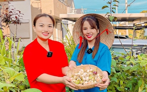 Quy tắc của Bà Nhân Vlog và Quỳnh Trần JP giúp tránh “đi vào vết xe đổ” của các cặp bạn thân tan rã vì tiền ăn