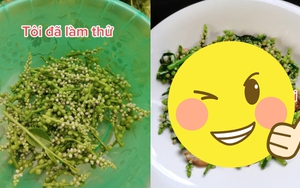 Hết ngọn đu đủ lại đến quả mồng tơi trở thành trend ăn uống khiến dân mạng rần rần: Phen này cây mồng tơi "tới số" rồi!