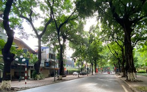 Thời tiết hôm nay: Đông Bắc Bộ trời chuyển mát