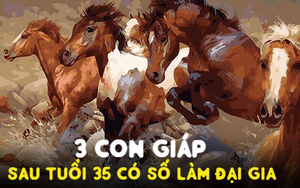 Sau tuổi 35, có 3 con giáp chỉ đợi một bước chuyển nổi bật, có số làm đại gia: Nếu không lưu ý dễ vuột ngay thời cơ vàng