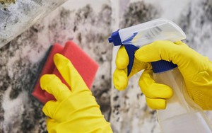 Chị em chưa biết 5 bí quyết dọn dẹp này thì còn "phát điên" với nấm mốc "xâm chiếm" mọi góc nhà sau nồm ẩm