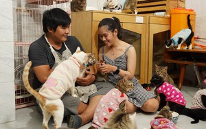 Đôi bạn trẻ dành hết số tiền cưới thành lập trạm cứu hộ mèo hoang ở Sài Gòn