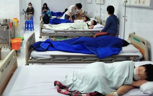 Vụ ngộ độc thực phẩm: 5 món hơn 900 học sinh tiểu học Kim Giang đã ăn khi đi dã ngoại được chế biến và vận chuyển ra sao?