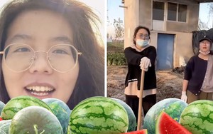 Từ bỏ tấm bằng thủ khoa đại học cùng mức lương khủng, cô gái vẫn quyết “bỏ phố về quê” trồng dưa với thu nhập bằng 1/10 lương cũ vì một lý do