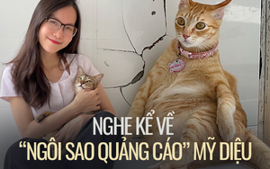 Chủ nhân chú mèo Mỹ Diệu lần đầu xuất hiện "thanh minh" về dáng ngồi bầy hầy của hoàng thượng gây bão khắp mạng xã hội